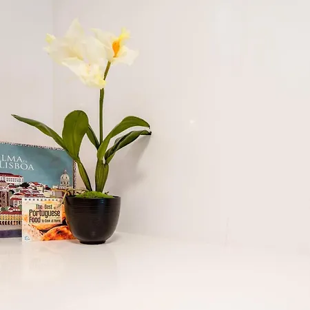 Apartman Liberdade 12 By The Good Neighbour In Lisboa
